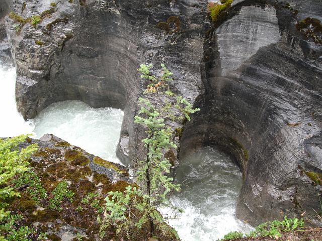 Canadian Rockies-279.JPG - Maligne Canyon